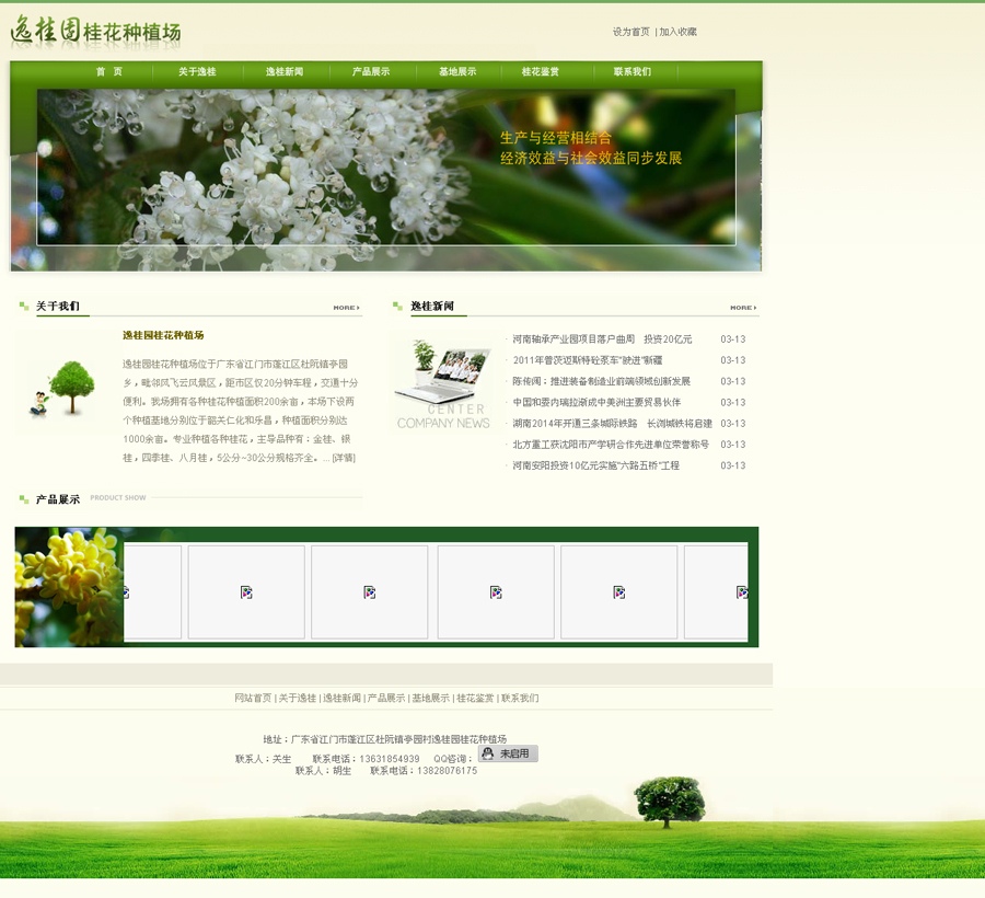 逸桂园桂花种植场